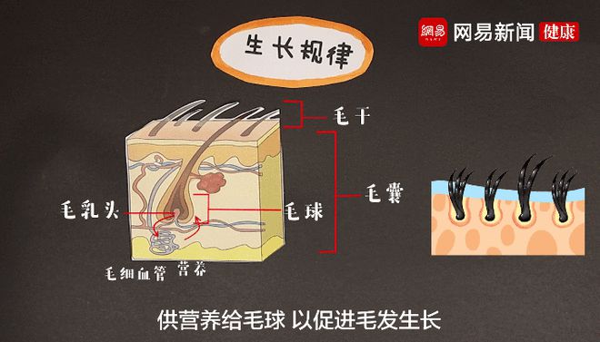 下载.jpg